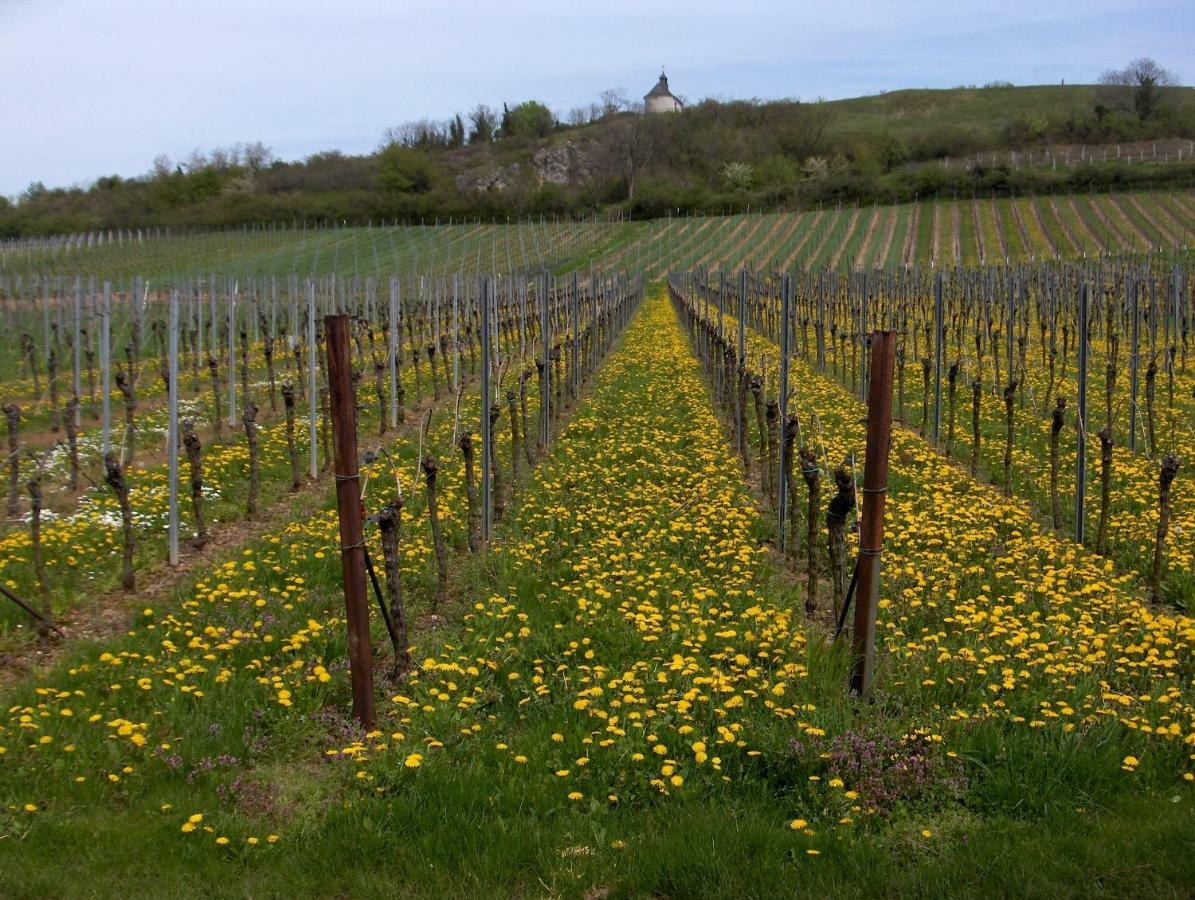 Wein-Domizil Brennofen Hotel Ilbesheim bei Landau in der Pfalz Kültér fotó